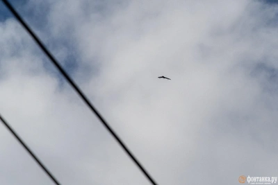 Мэр Шалабаев о последствиях атаки БПЛА на Нижний