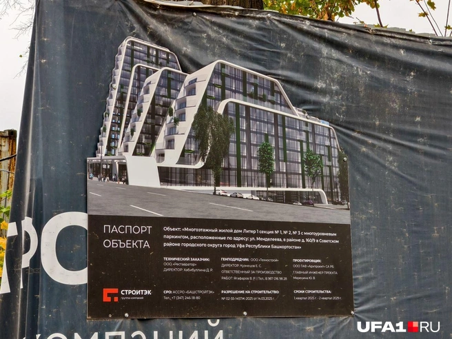 Причудливый дом | Источник: Булат Салихов / UFA1.RU
