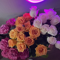 Аватарка lilyputy