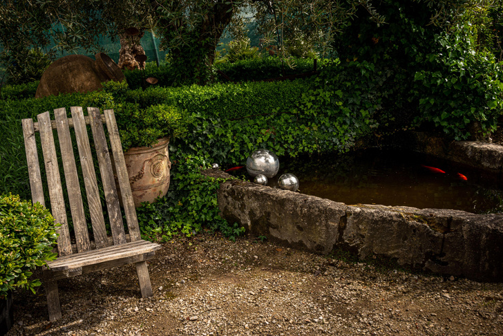 Уют французской глубинки: как превратить свой дачный участок в сад в стиле прованс