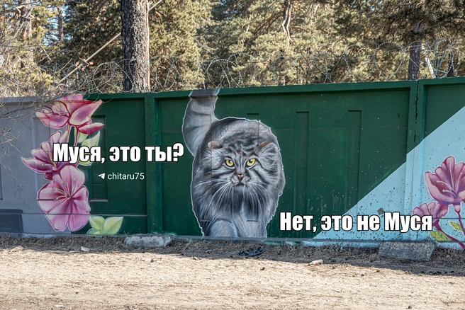 Источник: Вячеслав Палкин