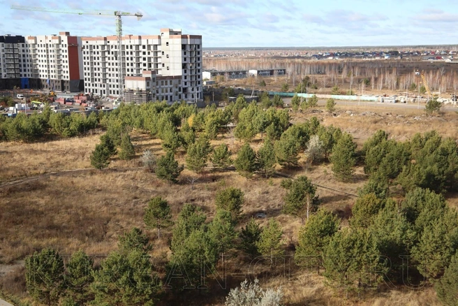 Новая зона отдыха будет в 12-м микрорайоне | Источник: пресс-служба администрации города Кургана