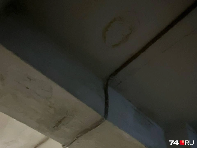 Потолки в подъезде мокрые, со следами потопов  | Источник: читатель 74.RU