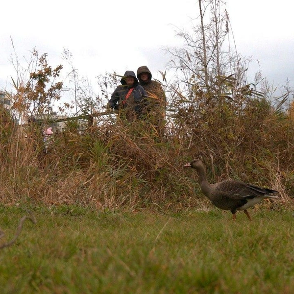 Источник: Павел Глазков / «Каждой твари по паре»