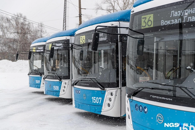 После увольнения в городе будут работать 603 водителя | Источник: Александр Ощепков / NGS.RU