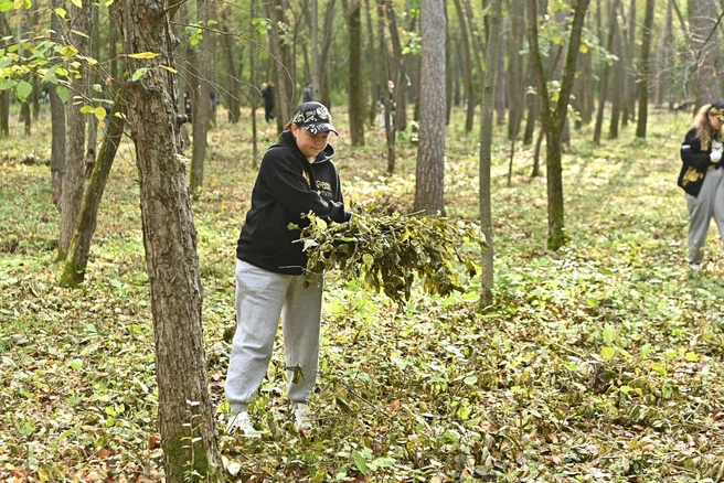 Источник: Максим Воробьев
