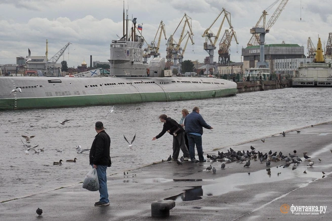 «Очень тепло». Петербург будет шатать из-за перемен в атмосфере | Источник: Михаил Огнев / «Фонтанка.ру»