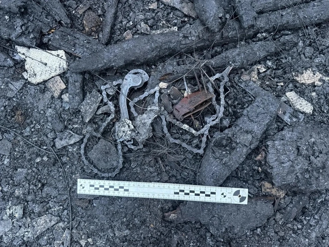 Площадь пожара составила порядка 80 «квадратов» | Источник: СУ СК по Алтайскому краю