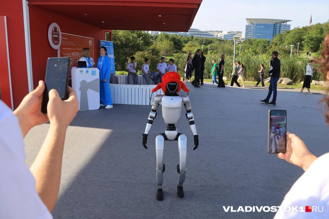 Источник: Татьяна Ходова / VLADIVOSTOK1.RU