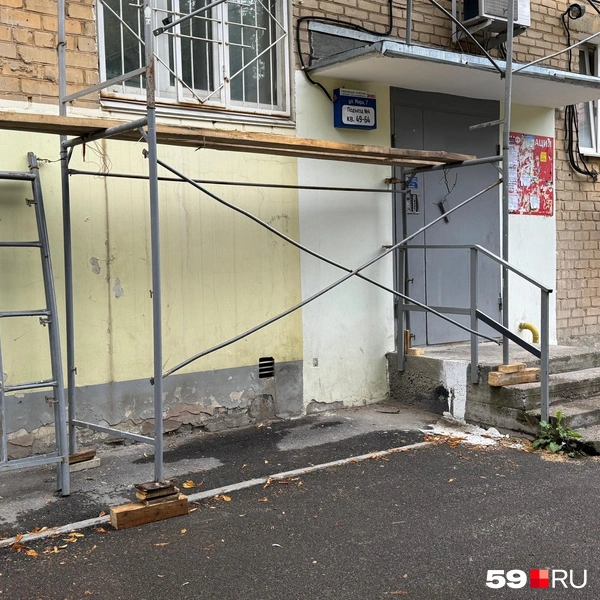 Источник: Наталья Пальникова / 59.RU