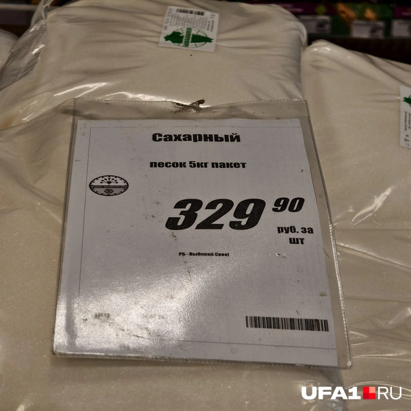Источник: Булат Салихов / UFA1.RU