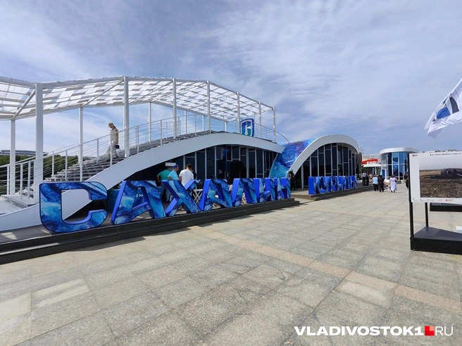 Источник: Татьяна Акишина / VLADIVOSTOK1.RU