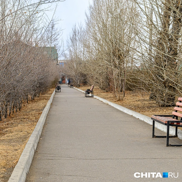 На аллеях есть несколько лавочек  | Источник: Олег Фёдоров / CHITA.RU