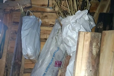 Житель Камешково задержан за хранение конопли