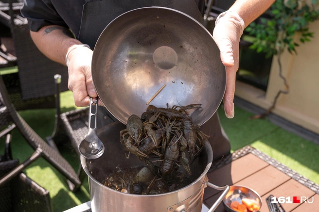 Источник: Евгений Вдовин / 161.RU