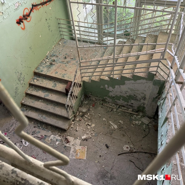 Источник: Алина Мельникова / MSK1.RU