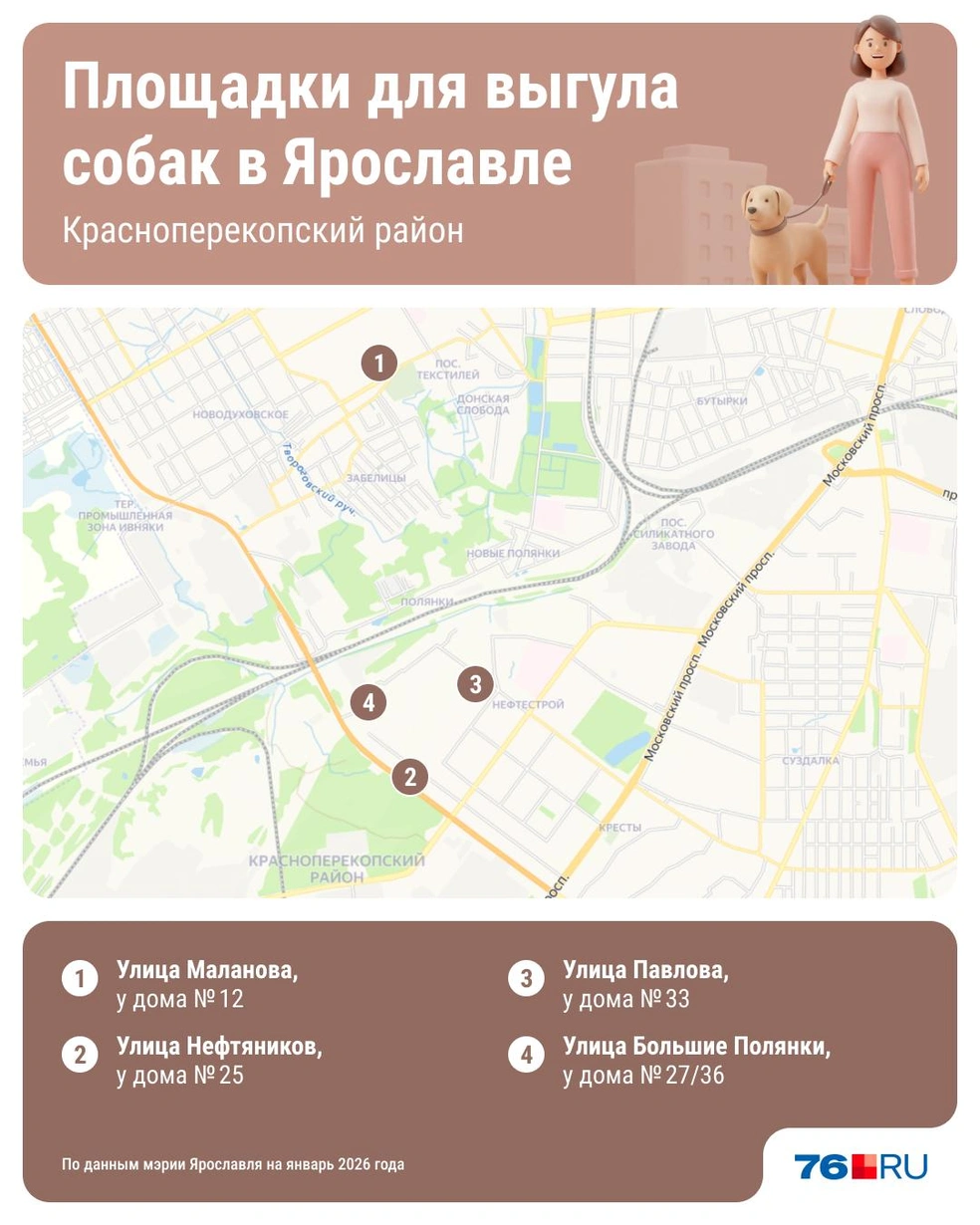 Четыре площадки оборудованы в Красноперекопском районе  | Источник: Юрий Скулыбердин / Городские медиа