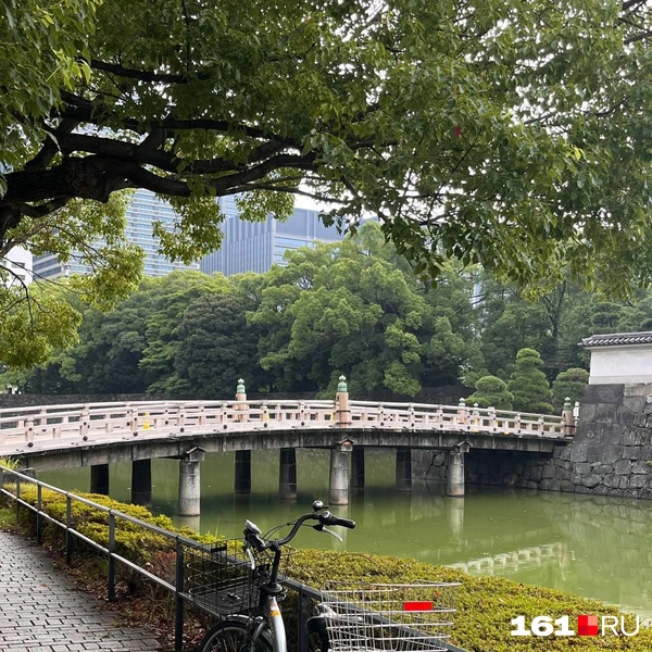 Императорский сад | Источник: читатель 161.RU