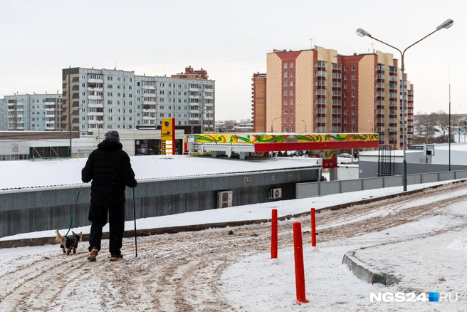 Лыжи с собой не взяли | Источник: Мария Ленц / NGS24.RU