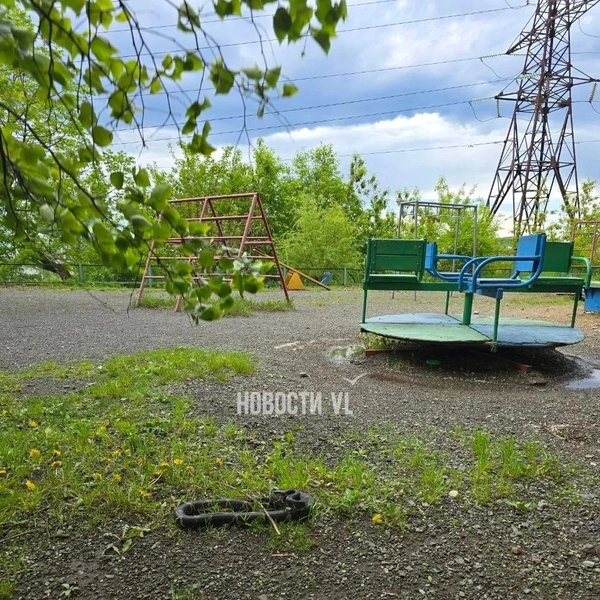 Источник: vl.ru