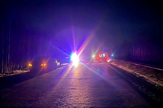 Источник: УМВД России по Архангельской области