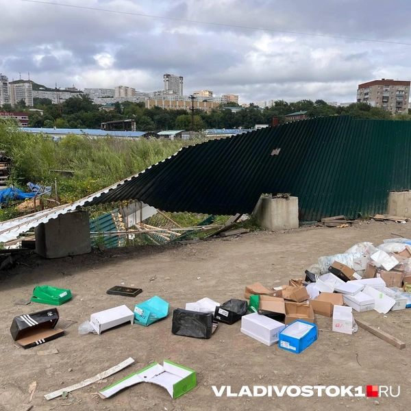 Источник: Максим Протасов / VLADIVOSTOK1.RU