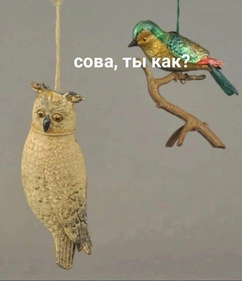 Забавно :-)) Здравствуйте, уважаемые, Приятного, времени, суток