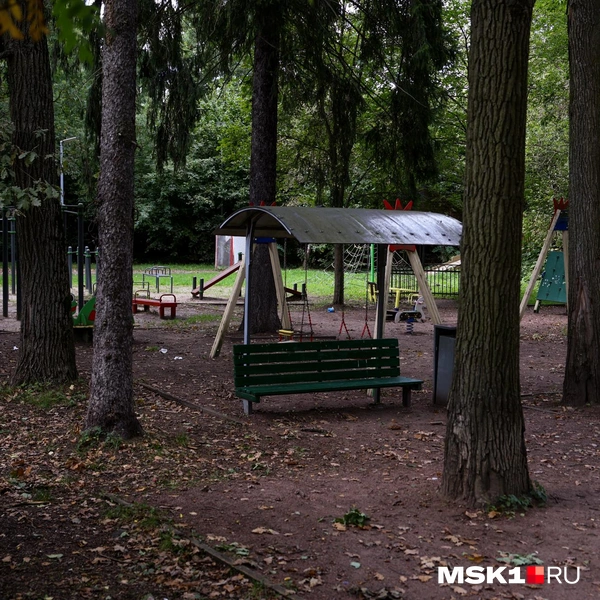 Прямо в лесу в Переделкино есть детская площадка | Источник: Артем Устюжанин / MSK1.RU