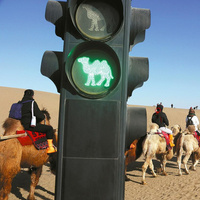 В Китае появились специальные светофоры для верблюдов: зачем они нужны посреди пустыни?