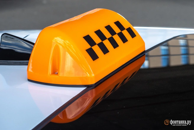 Также депутаты хотят уравнять стоимость поездок с ребенком и без | Источник: Михаил Огнев / FONTANKA.RU