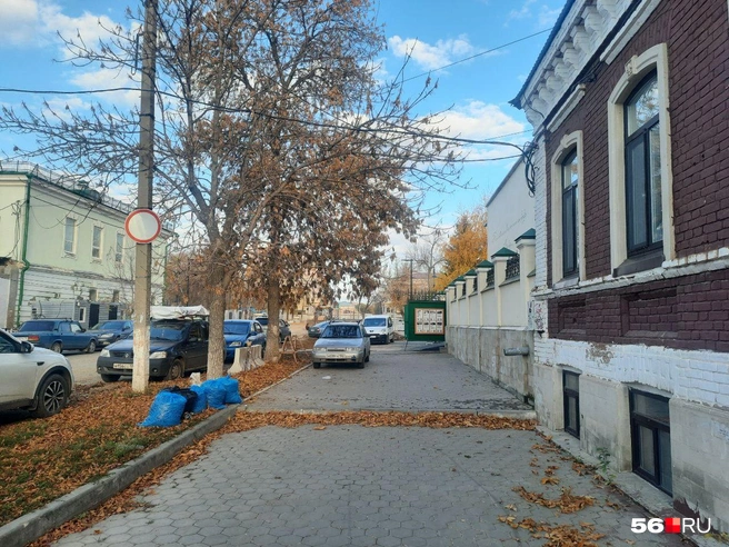Источник: Анастасия Баринова / 56.RU