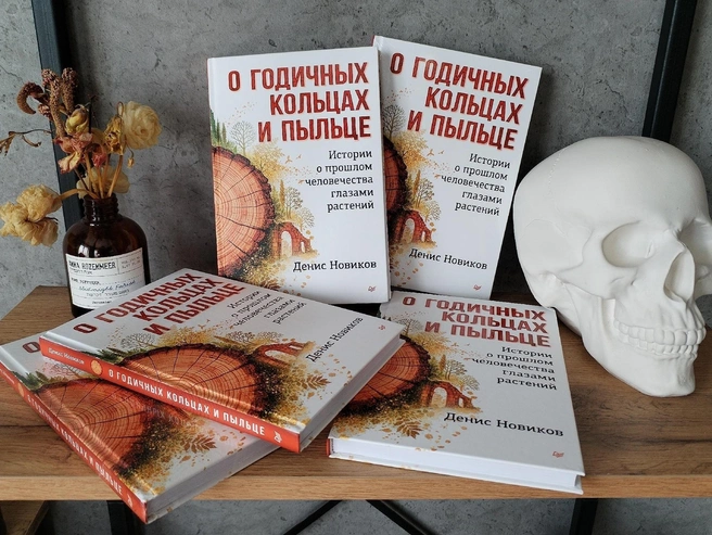 Обложка книги Дениса Новикова, посвященной роли растений в изучении истории | Источник: Денис Новиков / ВКонтакте