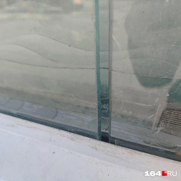 Источник: Сергей Гендин / 164.RU