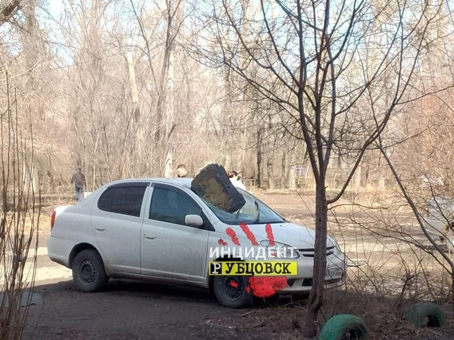 Источник: «Инцидент Рубцовск»