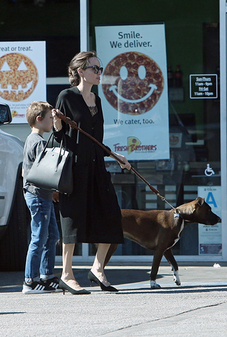 Дама с собачкой: мастер-класс от Анджелины Джоли по выгулу собак