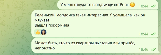 Это было в конце 2022 года | Источник: Дарья Кливенкова / CHITA.RU