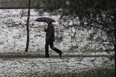 Петербург ждет потепление к Первомаю: прогноз погоды на неделю