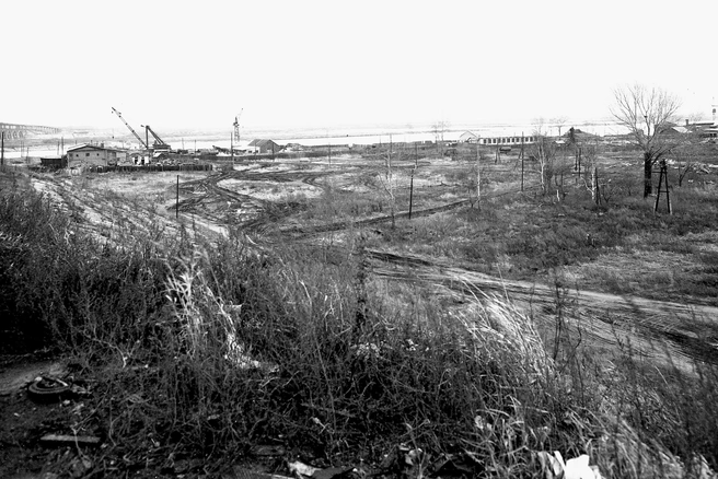 Источник: Борис Шемякин