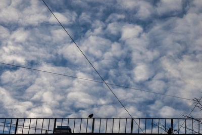 БПЛА снова у Воронежа, ПВО наготове