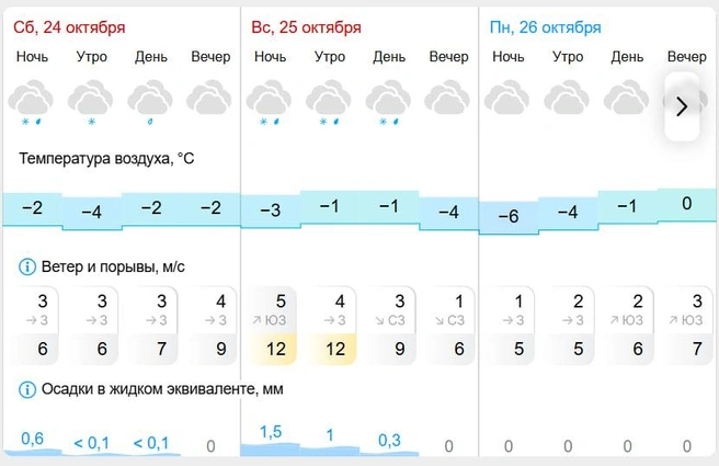 Снег, вероятно, не растает | Источник: gismeteo.ru