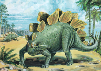 Открытый в Китае новый вид стегозавров прольет свет на эволюцию древних ящеров