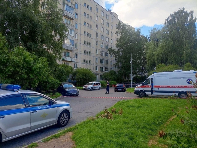 Жильцов дома на Олеко Дундича эвакуировали. Их разместили в соседней школе | Источник: Ирина Корбат / FONTANKA.RU