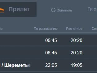 Источник: Аэропорт Толмачево