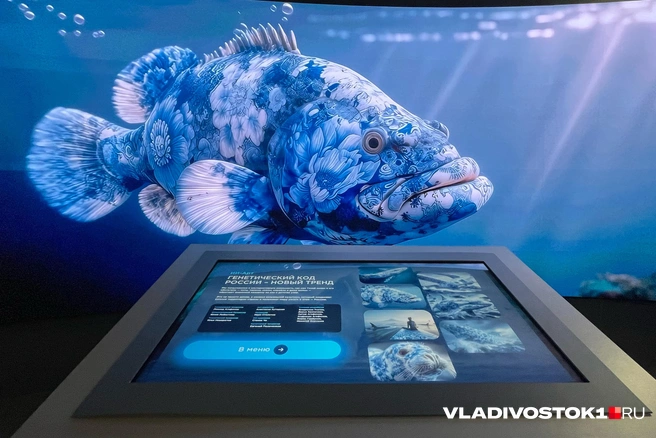 Источник: Елена Буйвол / VLADIVOSTOK1.RU