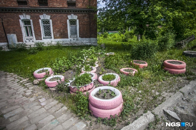 Такие клумбы опасны для здоровья | Источник: Татьяна Фатеева / NGS.RU