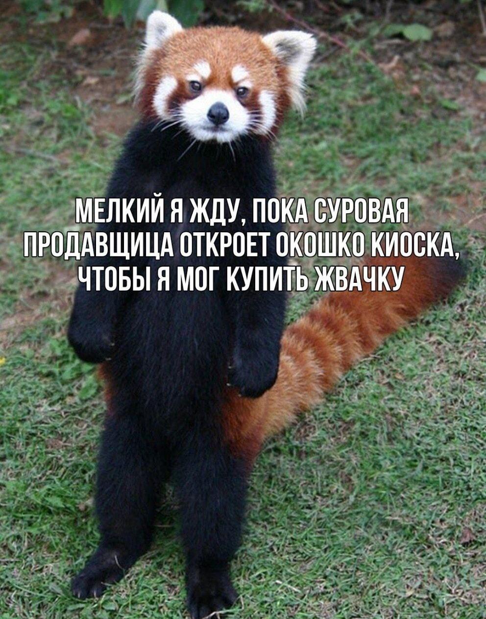 Смешные штуки :-) Здравствуйте, уважаемые, Приятного, времени, суток