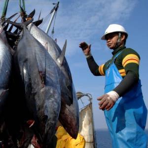 В Японии бастуют рыбаки