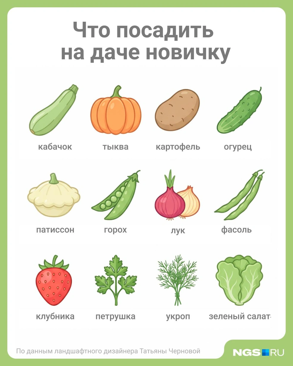 Источник: Юрий Орлов / Городские медиа