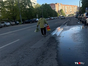 Людям пришлось идти по дороге | Источник: Виктория Денисова / 71.RU