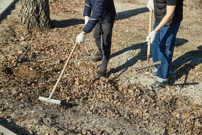 Субботник в Мурманске перенесли на неопределенный срок